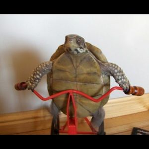 Meet your Posher, Sean